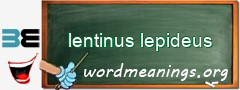 WordMeaning blackboard for lentinus lepideus